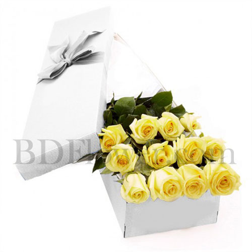 Send 12 pcs imported yellow in box to Bangladesh