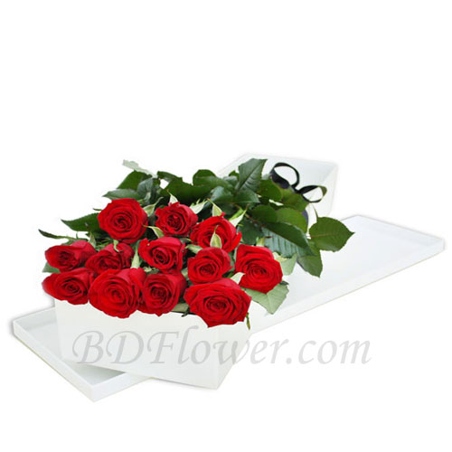 Send 12 pcs red roses in box to Bangladesh