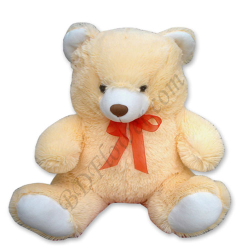 Send 24 inch off white teddy bear to Bangladesh