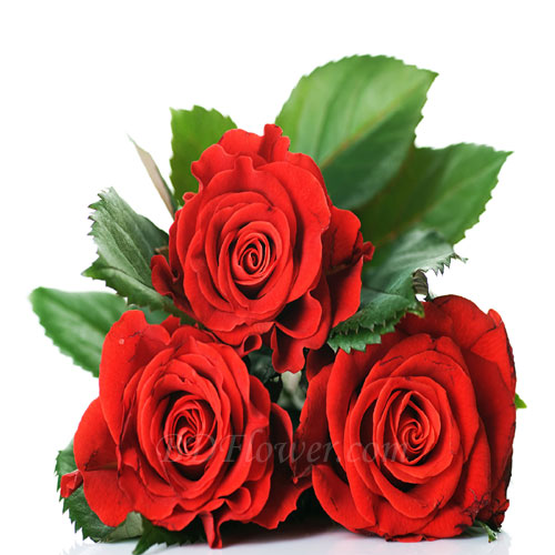 Send 3 pcs red roses in bouquet to Bangladesh