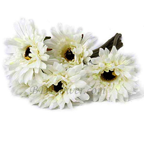 Send 5 pcs white gerbera in bouquet to Bangladesh
