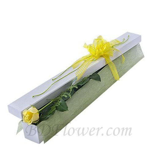 Send imported single yellow rose in box to Bangladesh