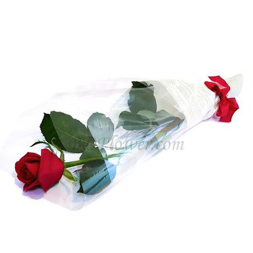 Send single red rose in bouquet to Bangladesh