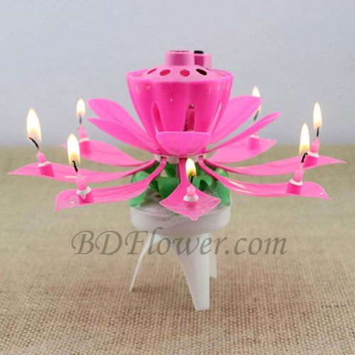 Send musical flower candle to Bangladesh